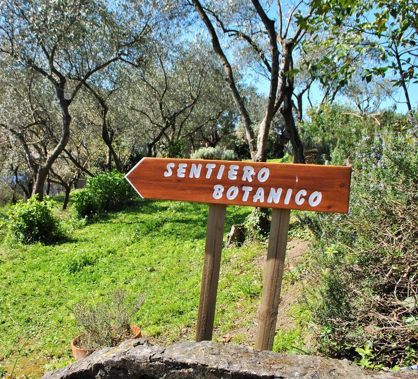 L' Amandola Villa Levanto Eksteriør billede