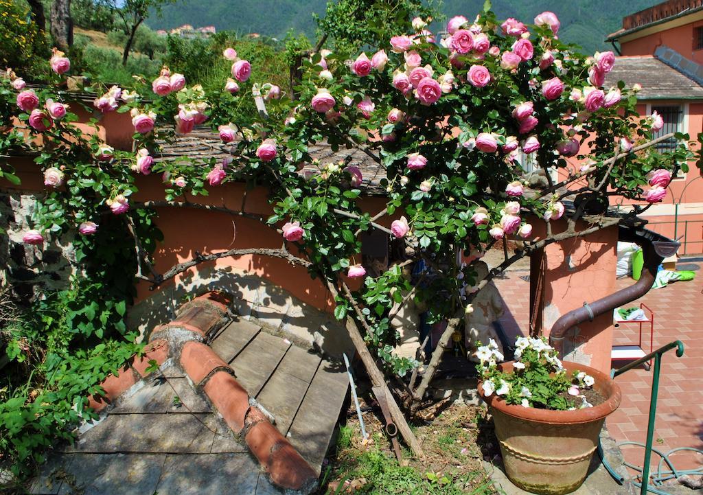 L' Amandola Villa Levanto Eksteriør billede